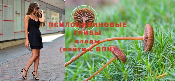 mix Снежногорск