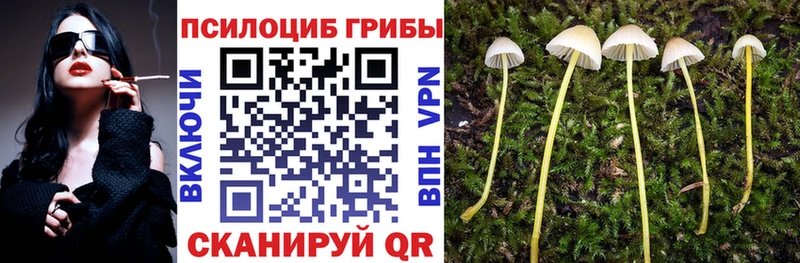 Псилоцибиновые грибы MAGIC MUSHROOMS  kraken tor  Дедовск  цена наркотик 